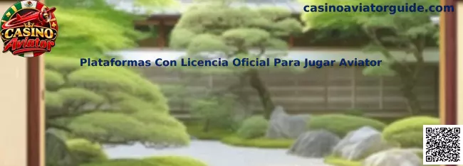 Guía para comprobar plataformas con licencia oficial para jugar Aviator