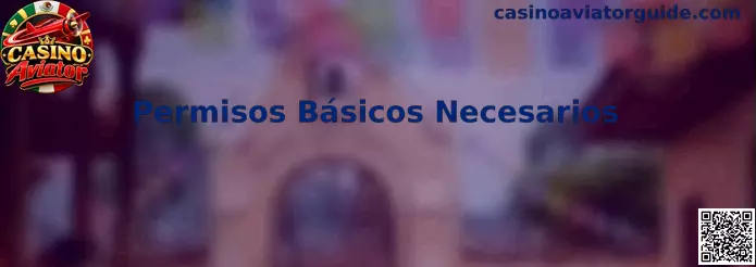 Guía de permisos básicos necesarios y privacidad móvil para Casino Aviator