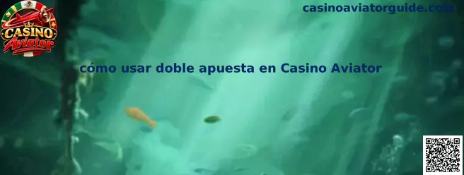 Imagen informativa sobre el uso de dos paneles de apuesta en Casino Aviator