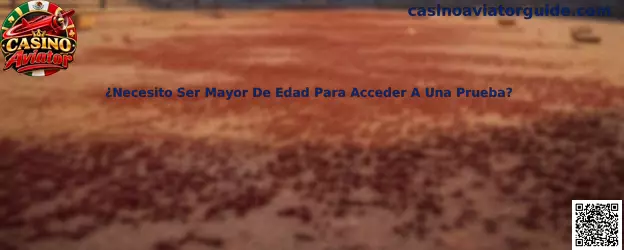 Información sobre mayoría de edad para acceder a una prueba de Casino Aviator